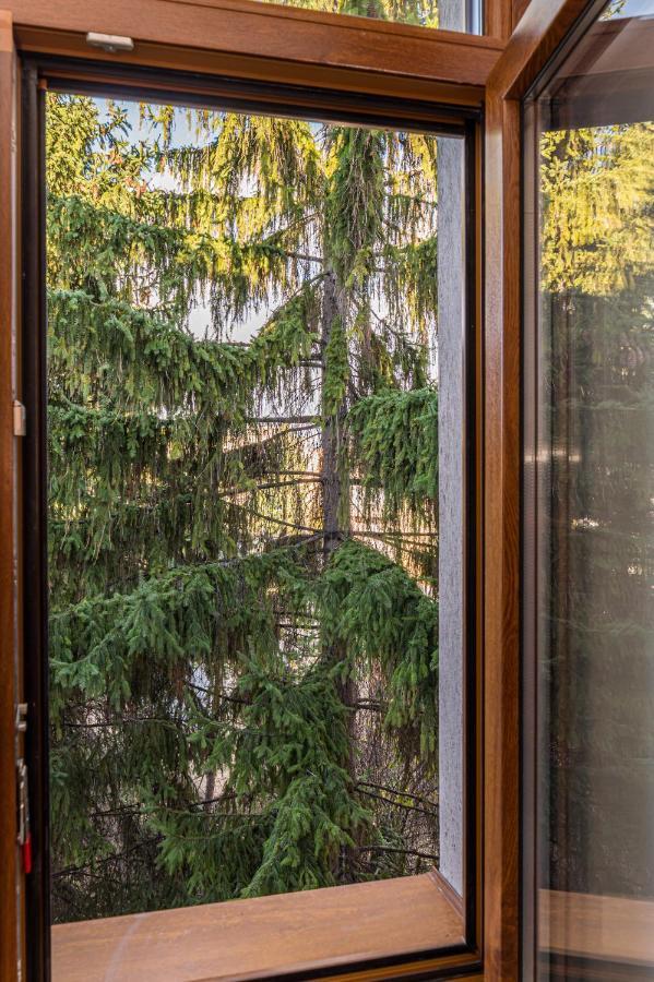 Chic&View Brasov Apartment Εξωτερικό φωτογραφία