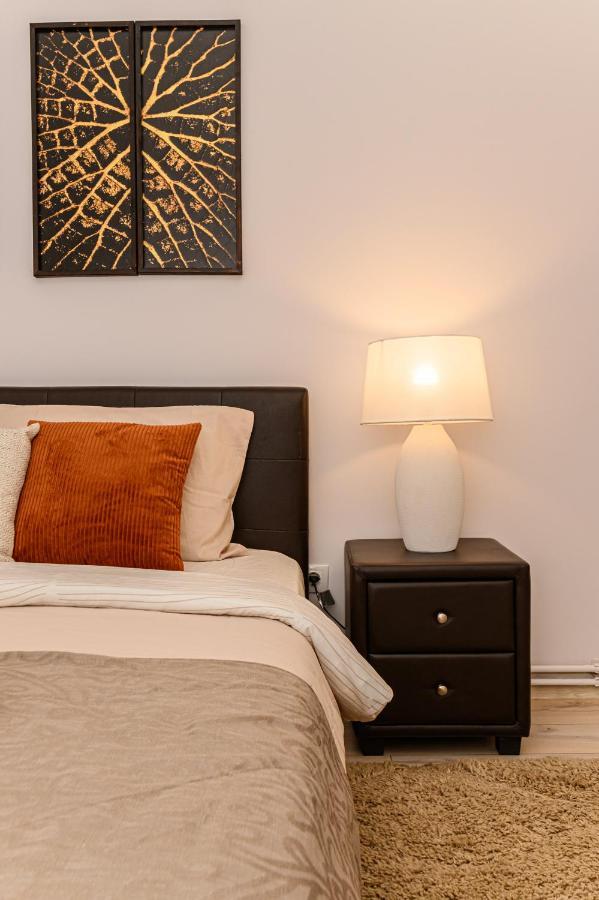 Chic&View Brasov Apartment Εξωτερικό φωτογραφία